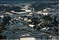 ... ici, les rizières près du village de Duoyishu. (27)