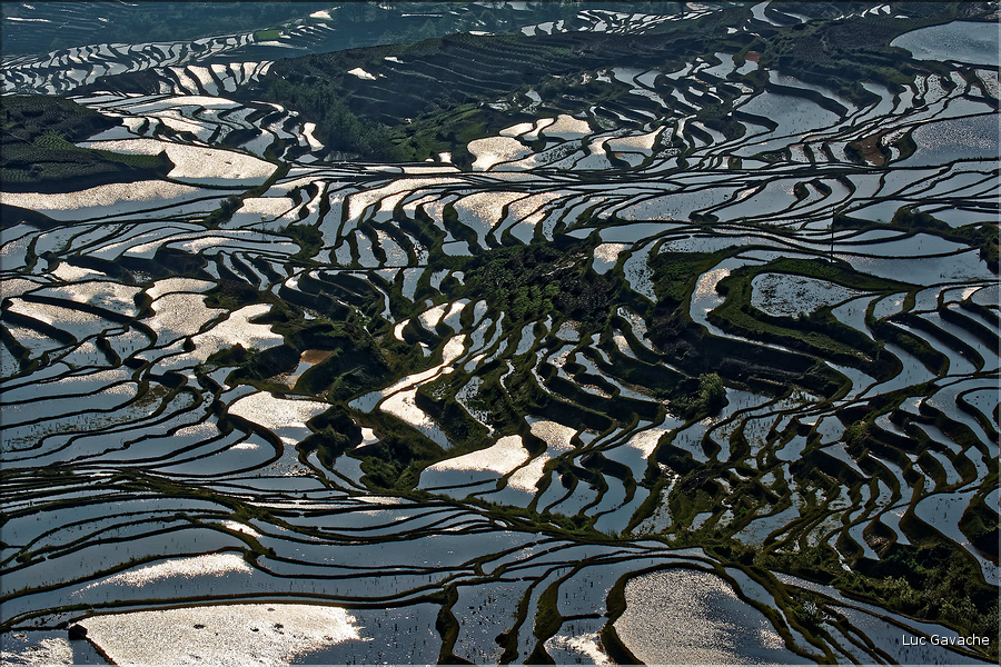 ... ici, les rizières près du village de Duoyishu. (28)