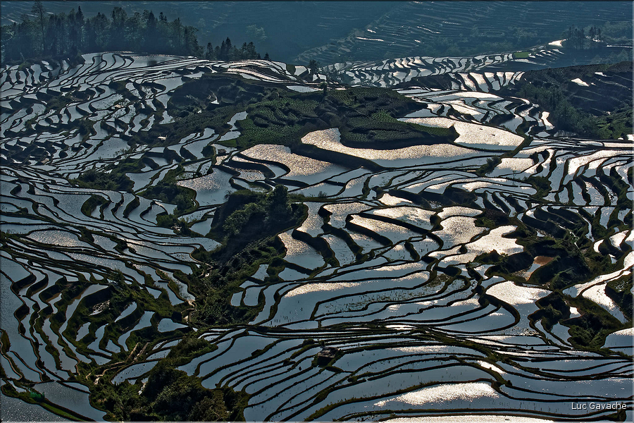 ... ici, les rizières près du village de Duoyishu. (29)