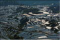 ... ici, les rizières près du village de Duoyishu. (29)