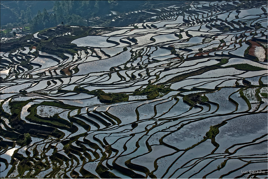 ... ici, les rizières près du village de Duoyishu. (30)