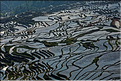 ... ici, les rizières près du village de Duoyishu. (30)