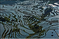 ... ici, les rizières près du village de Duoyishu. (32)