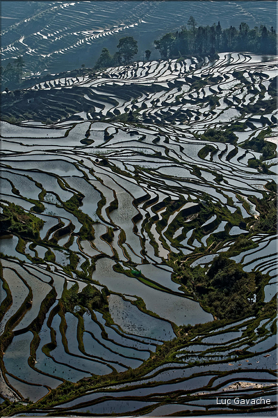 ... ici, les rizières près du village de Duoyishu. (33)