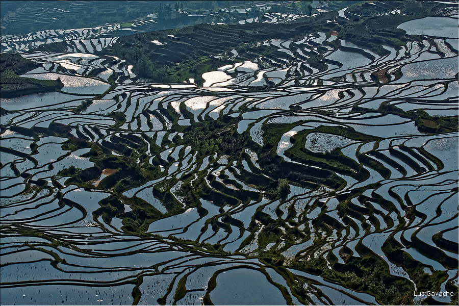 ... ici, les rizières près du village de Duoyishu. (34)