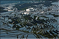 ... ici, les rizières près du village de Duoyishu. (34)