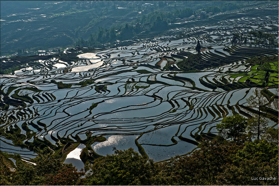 ... ici, les rizières près du village de Duoyishu. (35)