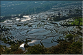 ... ici, les rizières près du village de Duoyishu. (35)