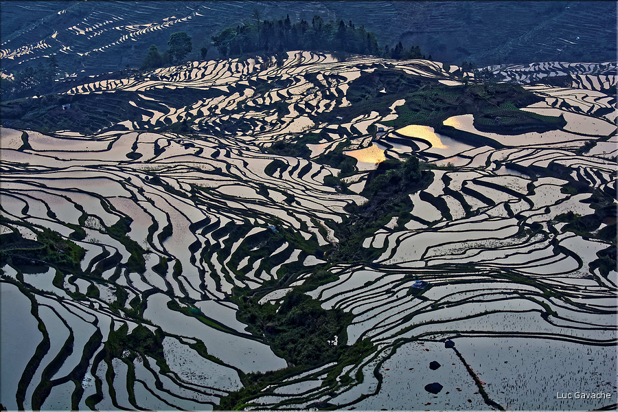 ... ici, les rizières près du village de Duoyishu. (39)
