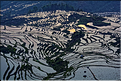 ... ici, les rizières près du village de Duoyishu. (39)