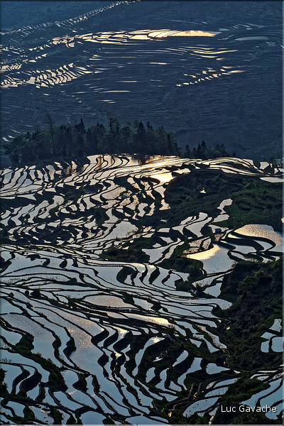 ... ici, les rizières près du village de Duoyishu. (42)