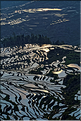 ... ici, les rizières près du village de Duoyishu. (42)