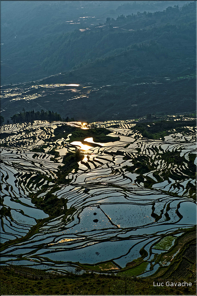 ... ici, les rizières près du village de Duoyishu. (43)