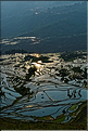 ... ici, les rizières près du village de Duoyishu. (43)