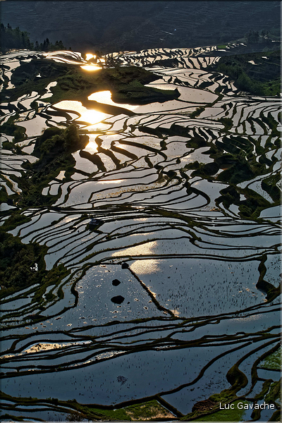 ... ici, les rizières près du village de Duoyishu. (44)