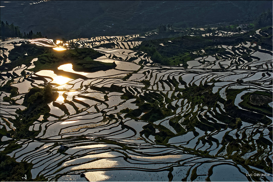... ici, les rizières près du village de Duoyishu. (45)
