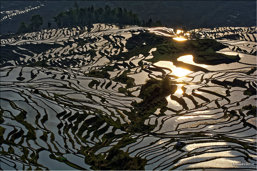 ... ici, les rizières près du village de Duoyishu. (46)