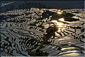 ... ici, les rizières près du village de Duoyishu. (46)