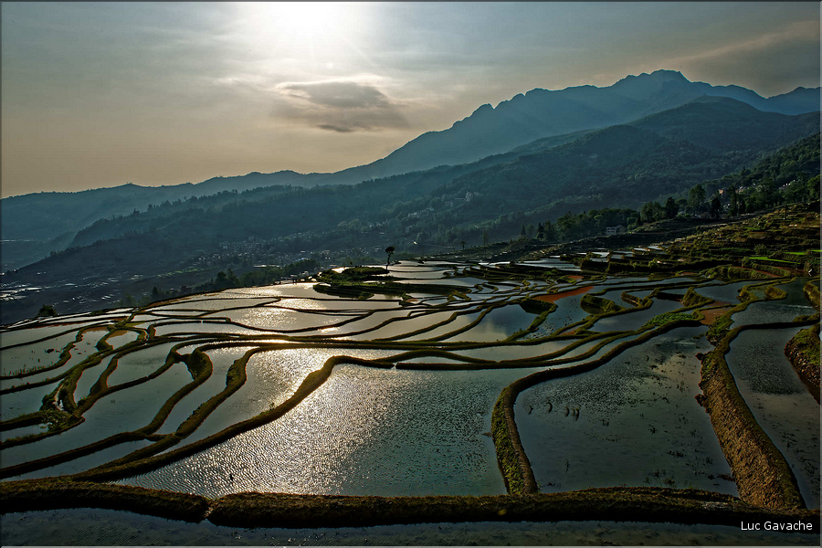 ... ici, les rizières près du village de Duoyishu. (49)