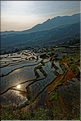 ... ici, les rizières près du village de Duoyishu. (54)