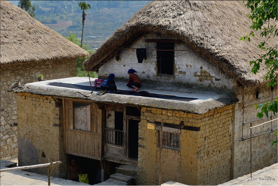 Toujours dans la région de Yuanyang, le village d'Azheke, peuplé de l'ethnie Hani, est l'un des plus authentique de la région. (42)