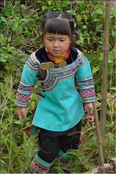 Toujours dans la région de Yuanyang, le village d'Azheke, peuplé de l'ethnie Hani, est l'un des plus authentique de la région. (50)