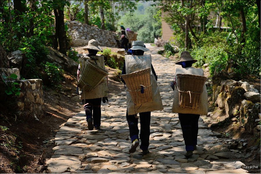 Toujours dans la région de Yuanyang, le village d'Azheke, peuplé de l'ethnie Hani, est l'un des plus authentique de la région. (53)