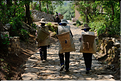 Toujours dans la région de Yuanyang, le village d'Azheke, peuplé de l'ethnie Hani, est l'un des plus authentique de la région. (53)