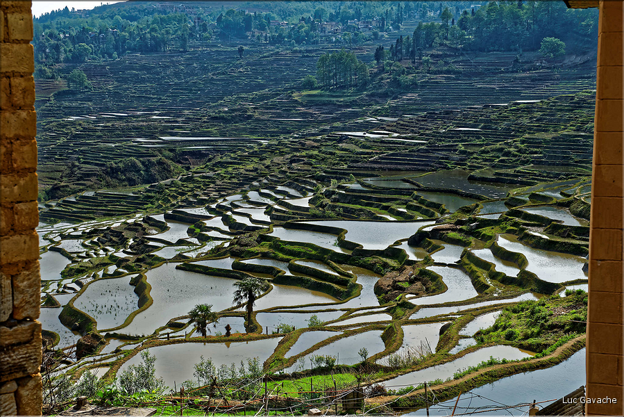 Toujours dans la région de Yuanyang, le village d'Azheke, peuplé de l'ethnie Hani, est l'un des plus authentique de la région. (55)