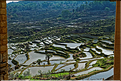 Toujours dans la région de Yuanyang, le village d'Azheke, peuplé de l'ethnie Hani, est l'un des plus authentique de la région. (55)