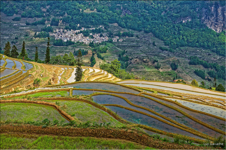 Toujours dans la région de Yuanyang, le village d'Azheke, peuplé de l'ethnie Hani, est l'un des plus authentique de la région. (56)