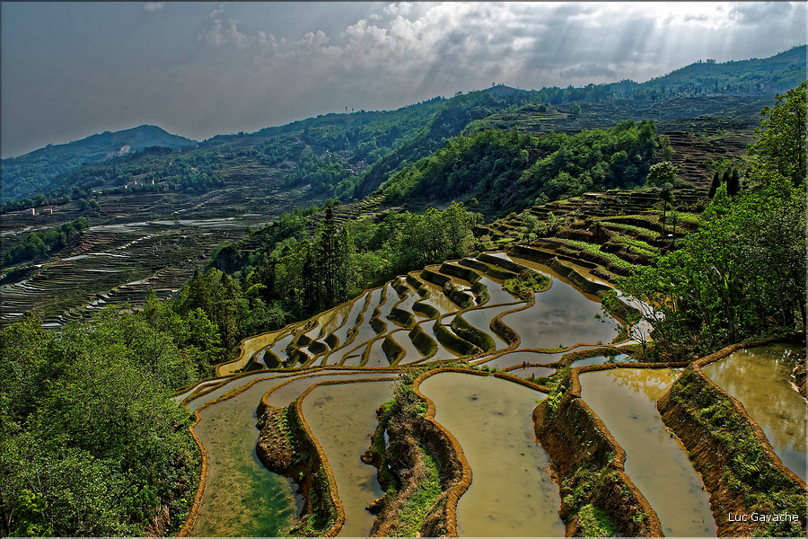 Toujours dans la région de Yuanyang, le village d'Azheke, peuplé de l'ethnie Hani, est l'un des plus authentique de la région. (57)