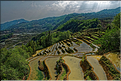 Toujours dans la région de Yuanyang, le village d'Azheke, peuplé de l'ethnie Hani, est l'un des plus authentique de la région. (57)