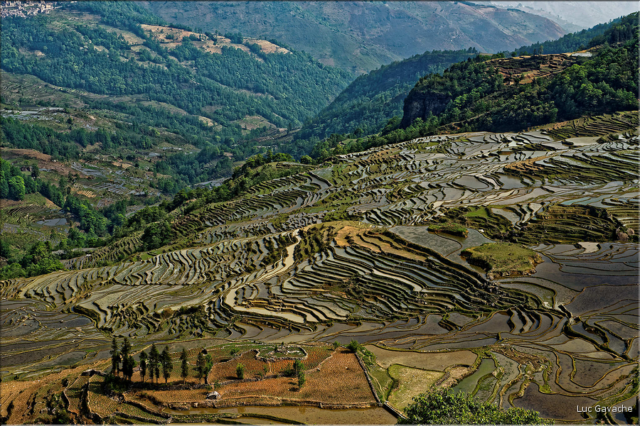 Toujours dans la région de Yuanyang, le village d'Azheke, peuplé de l'ethnie Hani, est l'un des plus authentique de la région. (58)