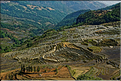 Toujours dans la région de Yuanyang, le village d'Azheke, peuplé de l'ethnie Hani, est l'un des plus authentique de la région. (58)