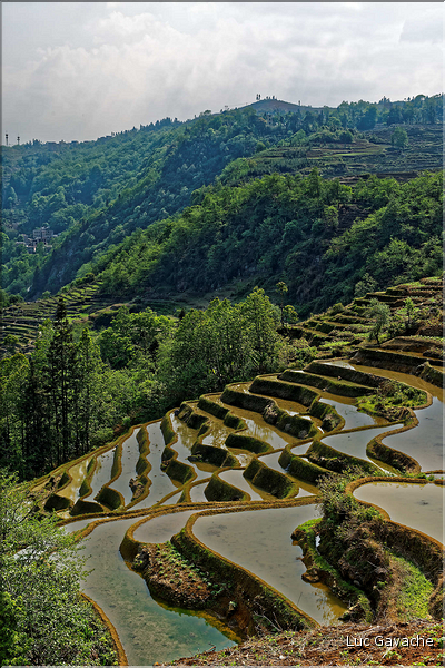 Toujours dans la région de Yuanyang, le village d'Azheke, peuplé de l'ethnie Hani, est l'un des plus authentique de la région. (59)