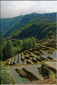 Toujours dans la région de Yuanyang, le village d'Azheke, peuplé de l'ethnie Hani, est l'un des plus authentique de la région. (59)