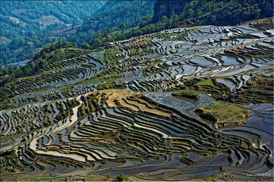 Toujours dans la région de Yuanyang, le village d'Azheke, peuplé de l'ethnie Hani, est l'un des plus authentique de la région. (60)