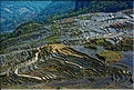 Toujours dans la région de Yuanyang, le village d'Azheke, peuplé de l'ethnie Hani, est l'un des plus authentique de la région. (60)