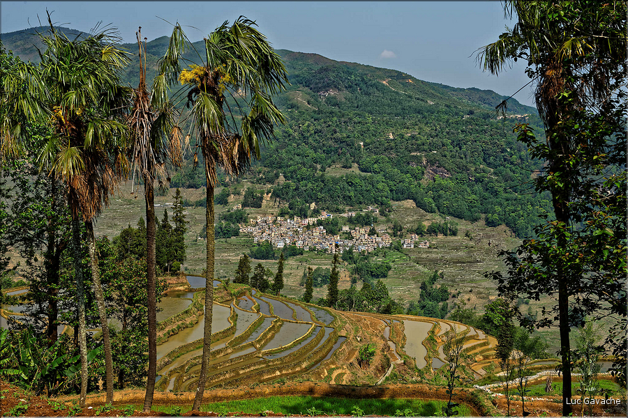 Toujours dans la région de Yuanyang, le village d'Azheke, peuplé de l'ethnie Hani, est l'un des plus authentique de la région. (63)