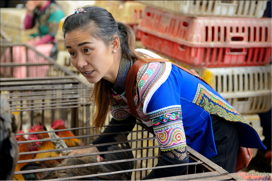 Le marché de Shengcun, dans la région de Yuanyang, est fréquenté par des ethnies hautes en couleurs comme les Yi et les Hani. (109)