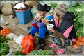 Le marché de Shengcun, dans la région de Yuanyang, est fréquenté par des ethnies hautes en couleurs comme les Yi et les Hani. (111)