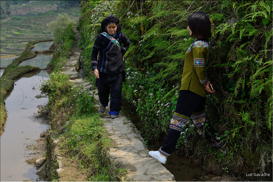 Le long des rizières entre les villages de Qingkou et de Bada. (9)
