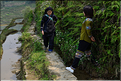 Le long des rizières entre les villages de Qingkou et de Bada. (9)