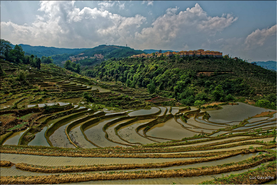 Le long des rizières entre les villages de Qingkou et de Bada. (11)