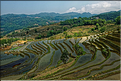 Le long des rizières entre les villages de Qingkou et de Bada. (12)