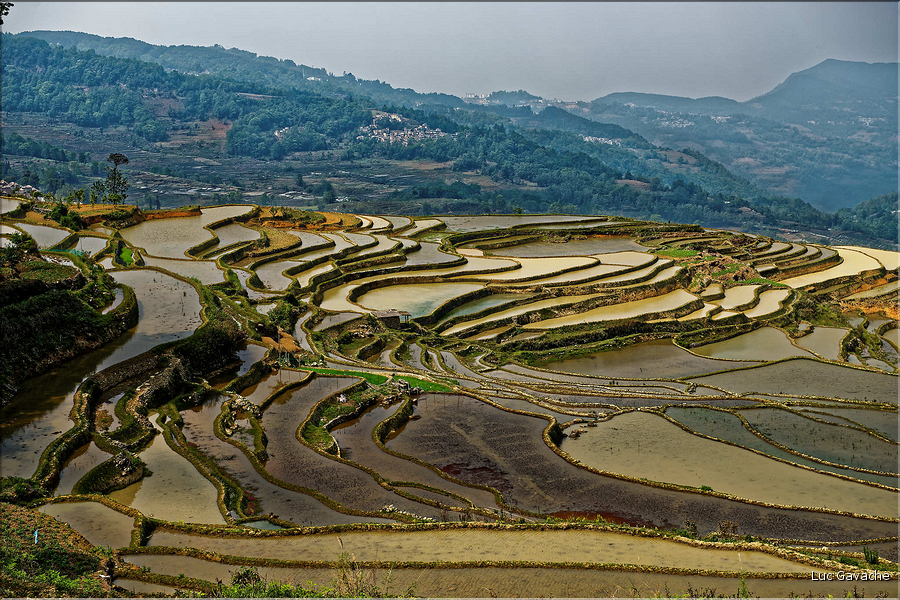 Le long des rizières entre les villages de Qingkou et de Bada. (17)