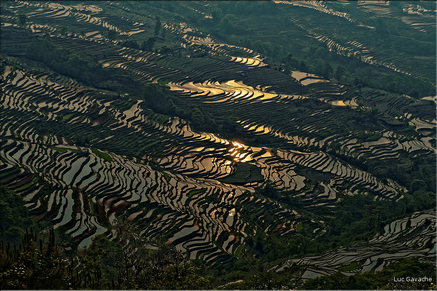 Les rizières près du village de Bada sont certainement les plus spectaculaires de cette région du Yunnan. (1)