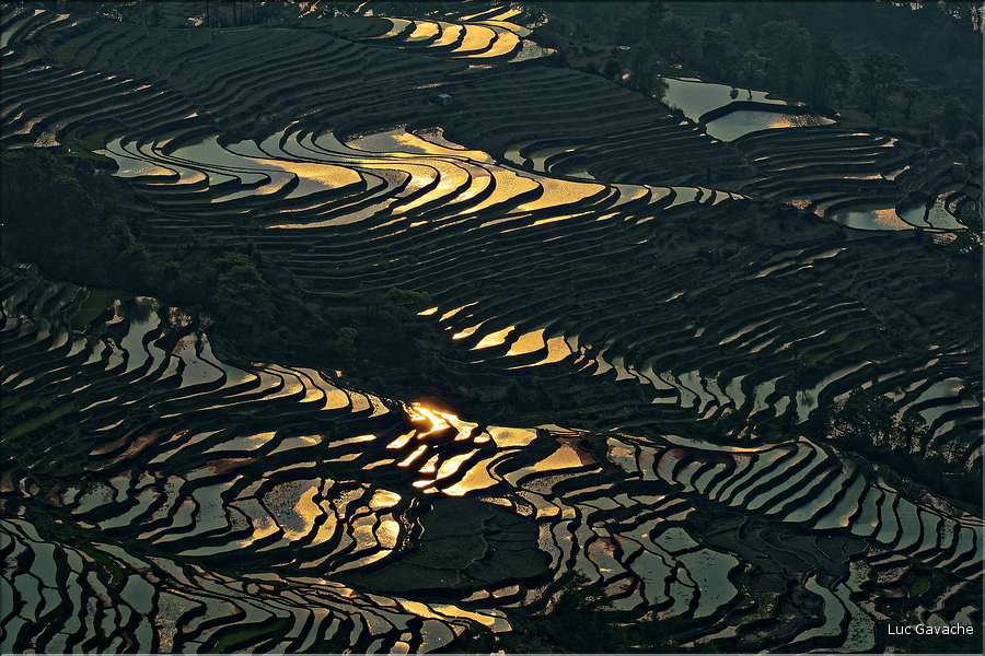 Les rizières près du village de Bada sont certainement les plus spectaculaires de cette région du Yunnan. (2)