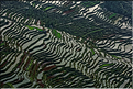 Les rizières près du village de Bada sont certainement les plus spectaculaires de cette région du Yunnan. (3)
